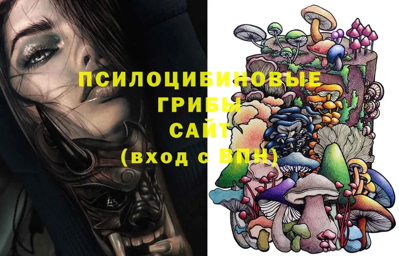 Галлюциногенные грибы Magic Shrooms  купить закладку  Себеж 